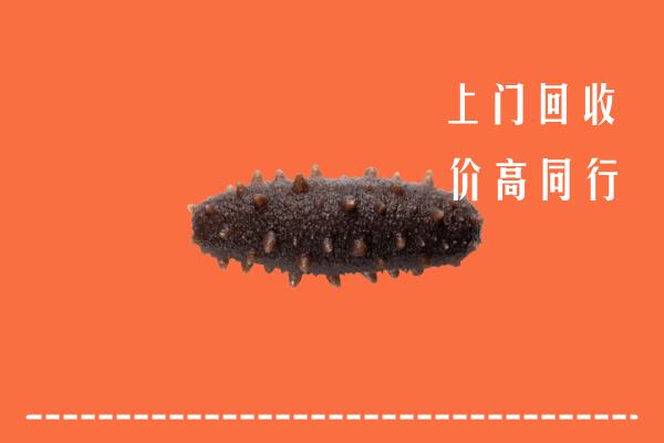 漳平市回收海参